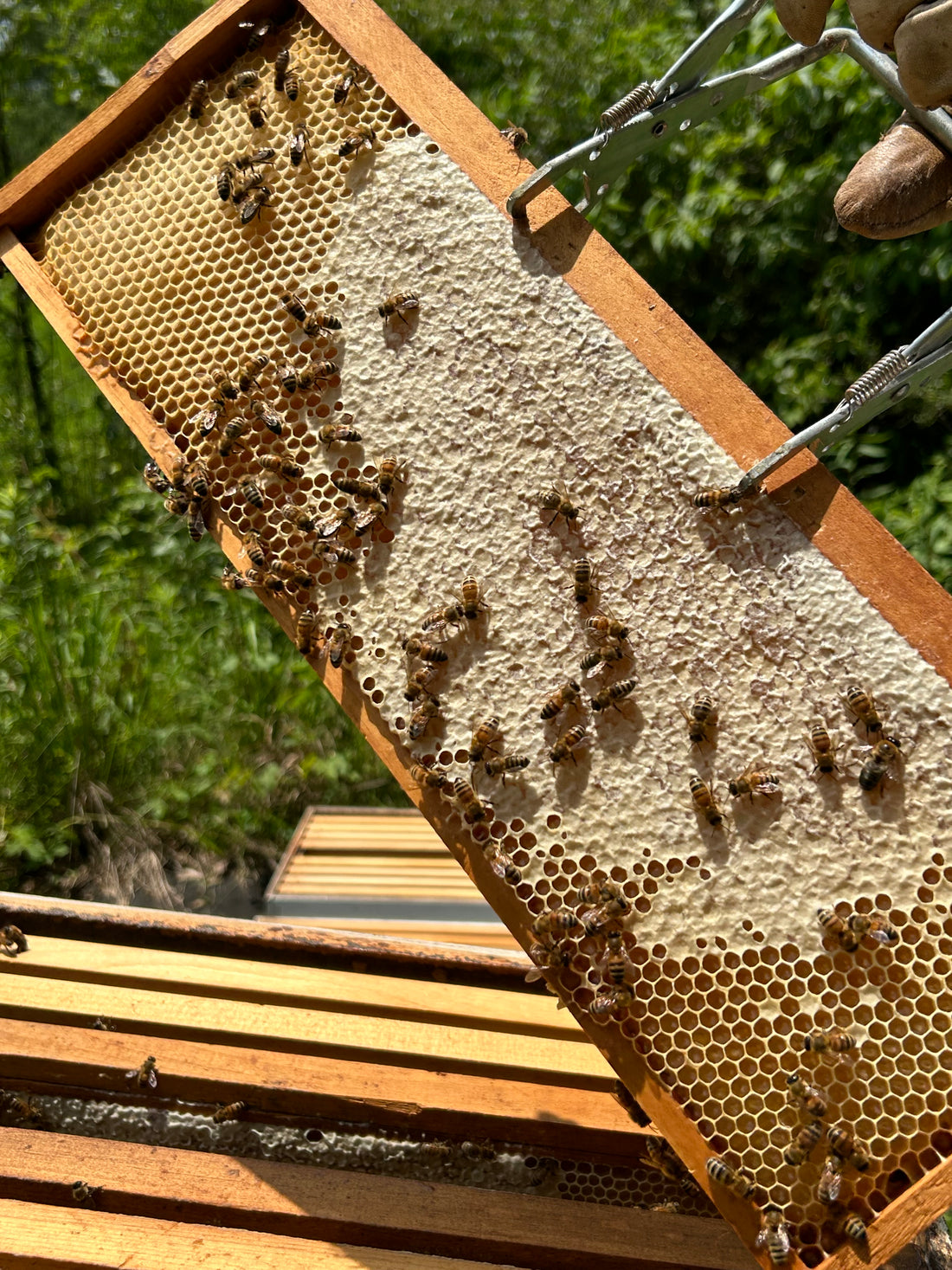 Hi, Honey, I’m Home