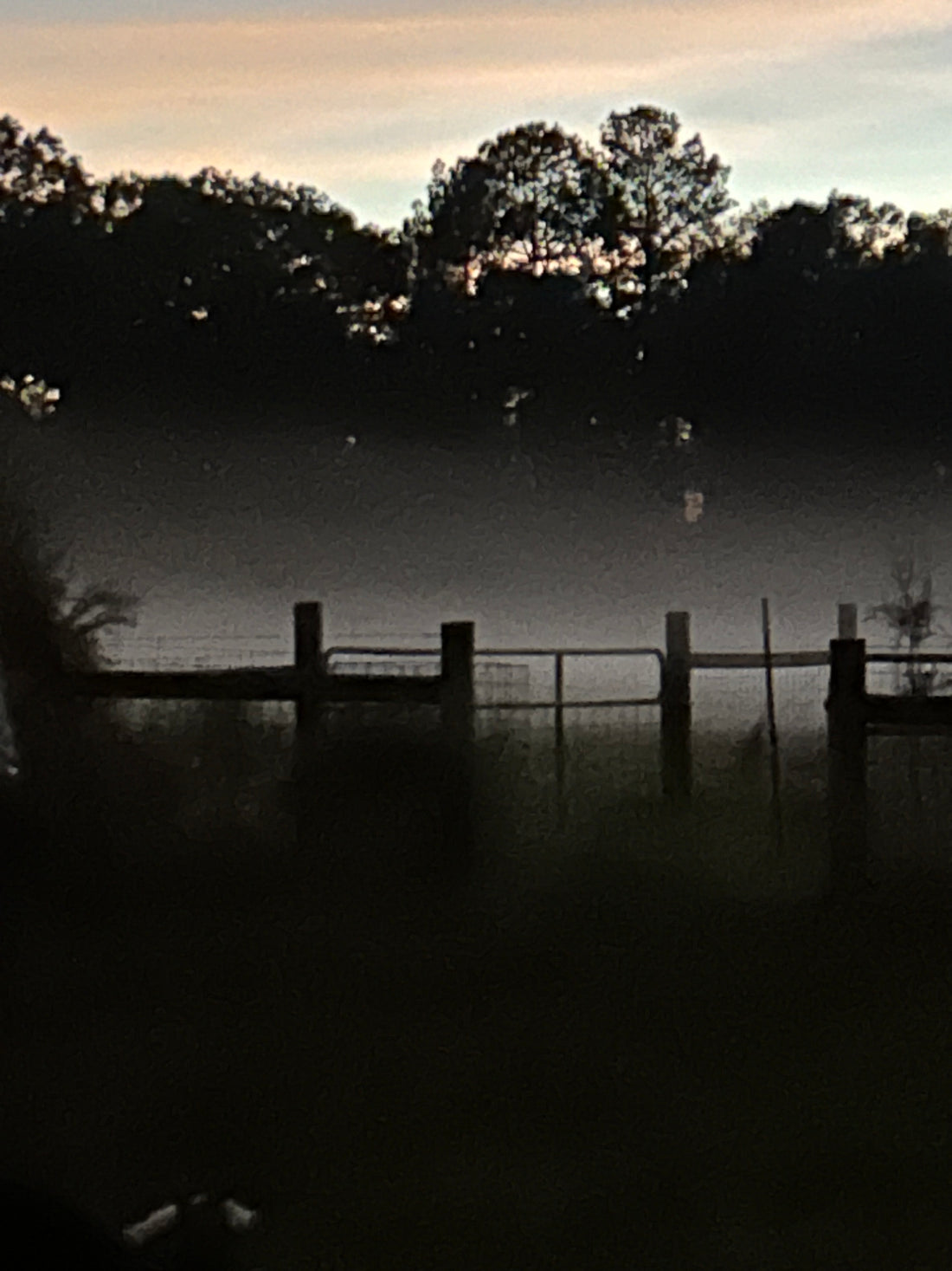 Twilight Fog