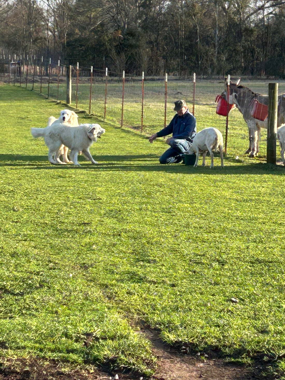 Happy Valentine’s Day