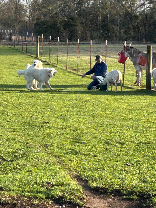 Happy Valentine’s Day