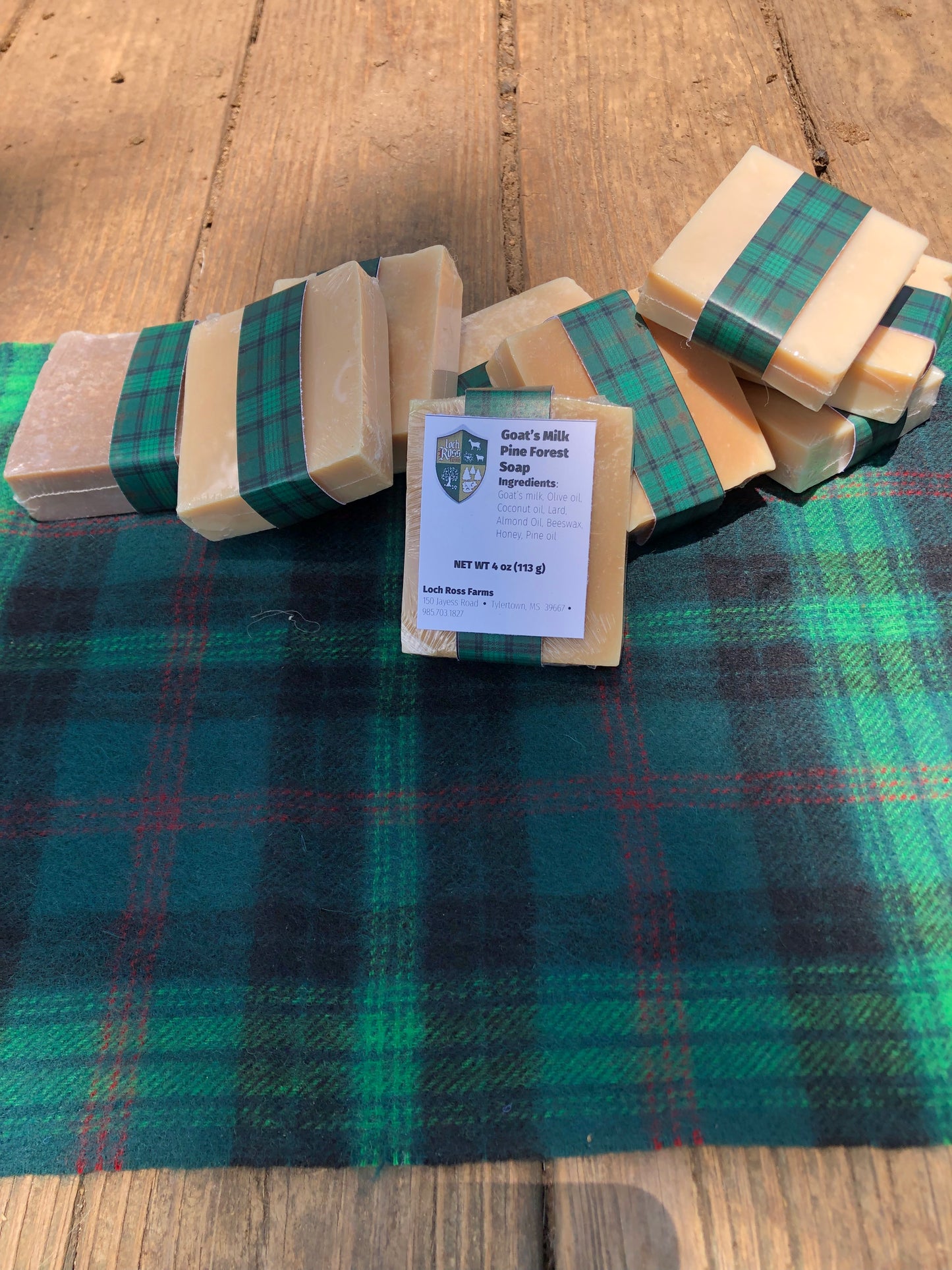 Pine Forest Goat's Milk Soap