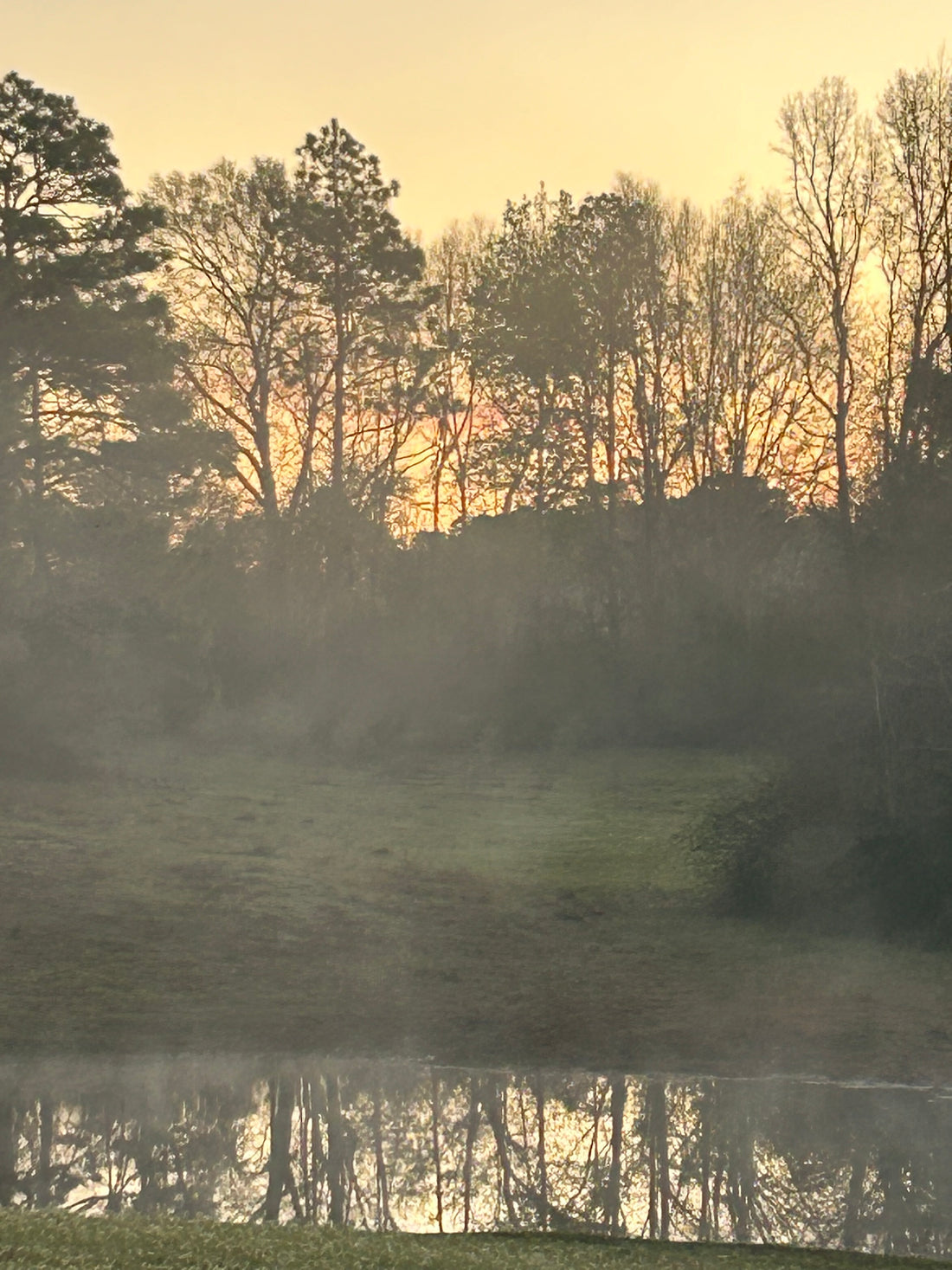 Morning on the Loch