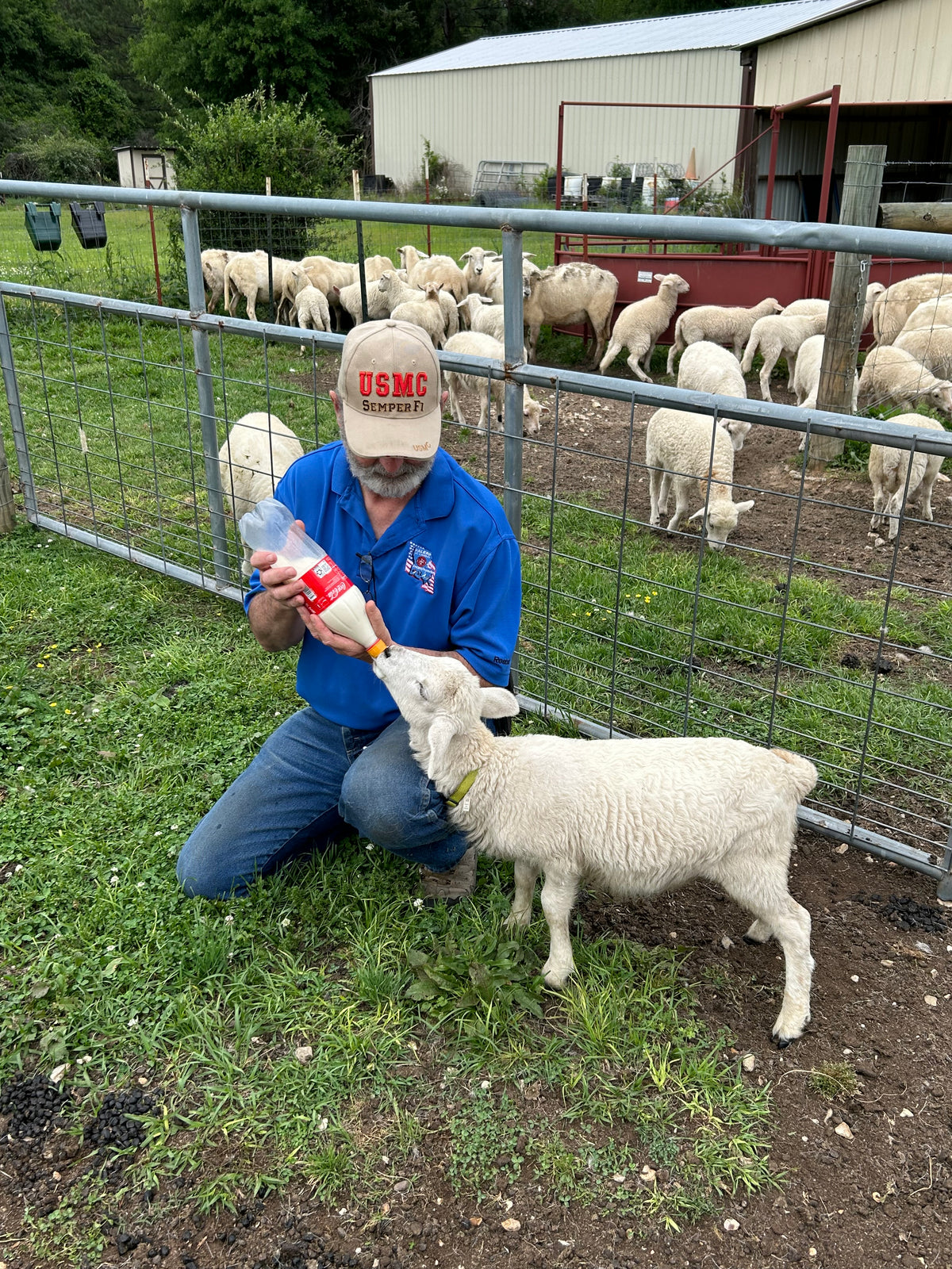 Graduation Day – Loch Ross Farms