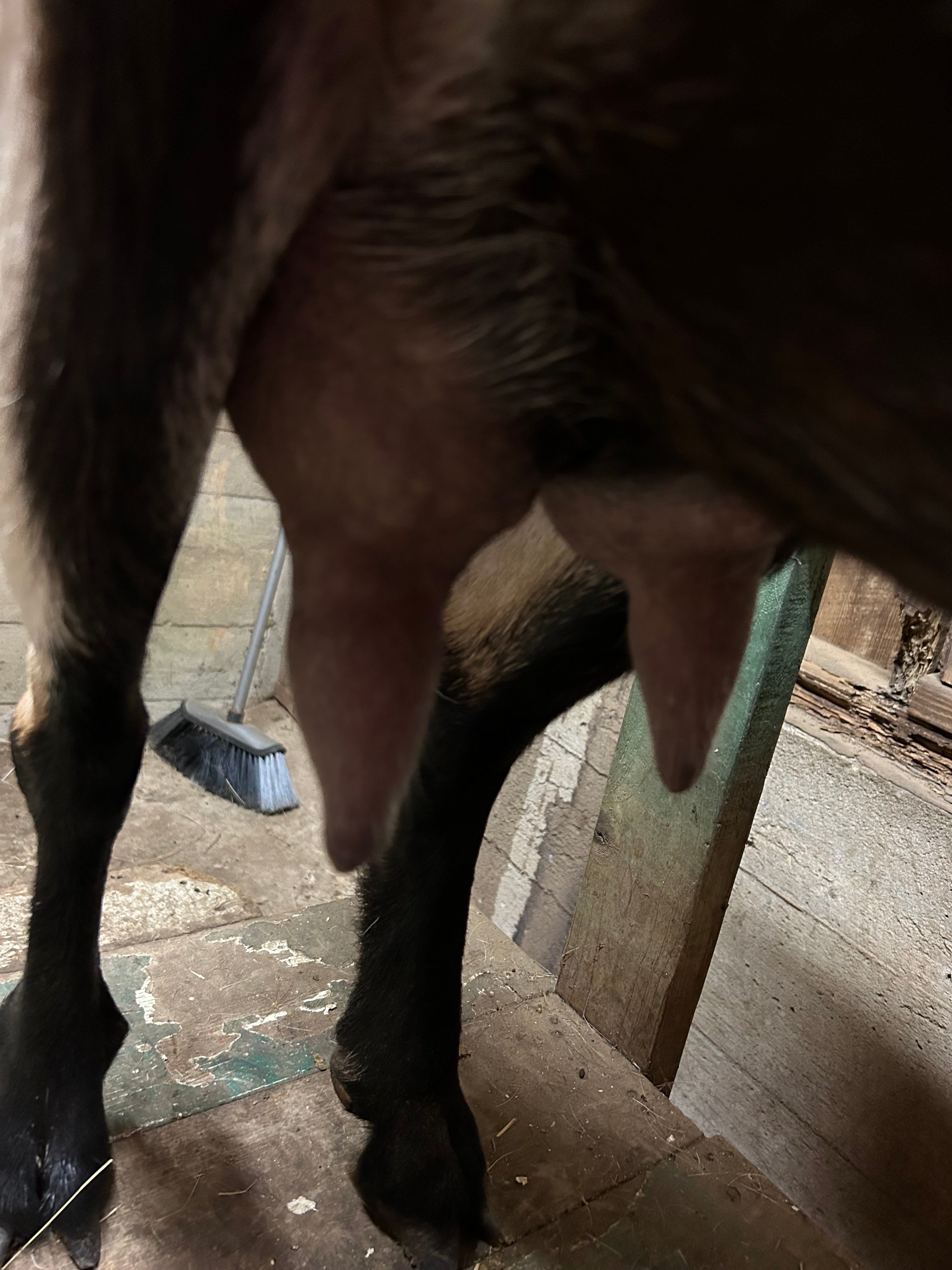 Ross Tapper On Tap – Loch Ross Farms