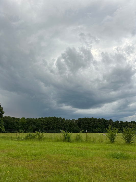 Storm Brewing