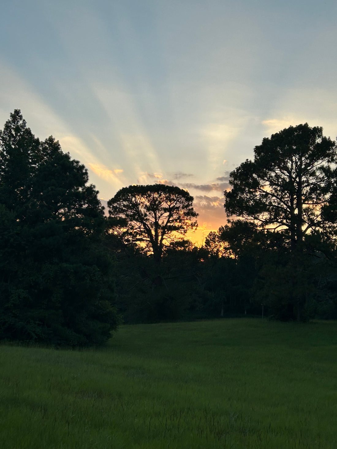 Sunset Splendor