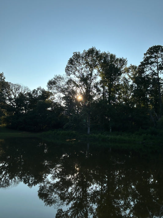 Late-Day Loch