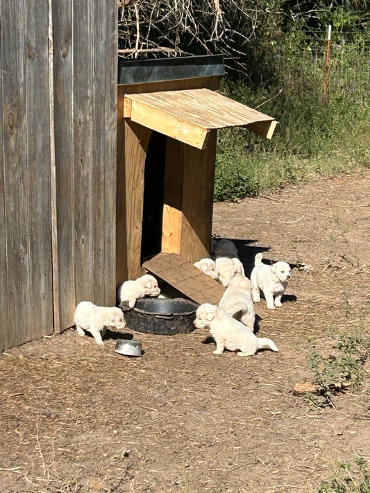 Sunbathing