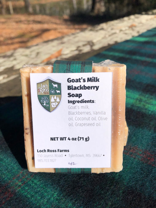 Goat's Milk Soap - Blackberry